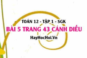 Bài 5 trang 43 Toán 12 tập 1 Cánh Diều